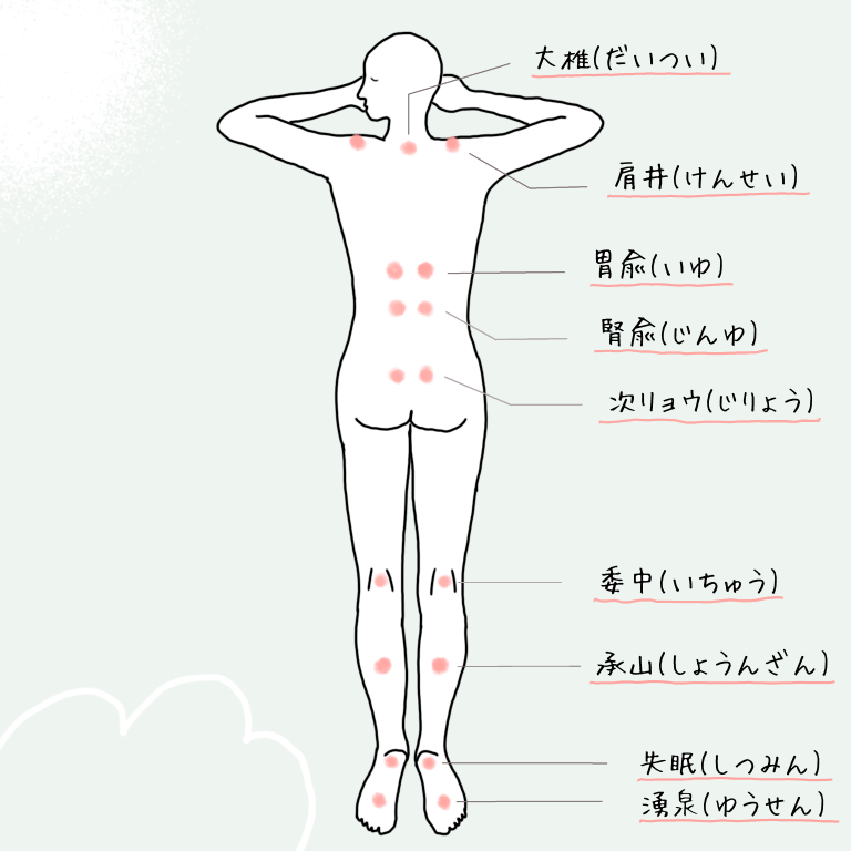 経絡ハーブ9つのツボ